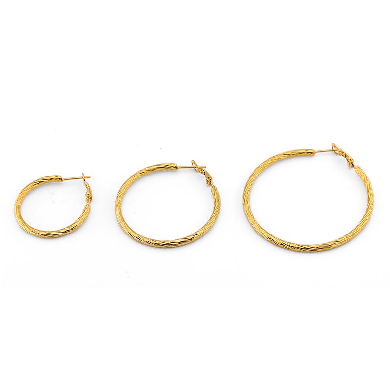 Boucles d'oreilles créoles torsadées en acier titane tendance européen et américain pour femmes - Acier inoxydable style boîte de nuit