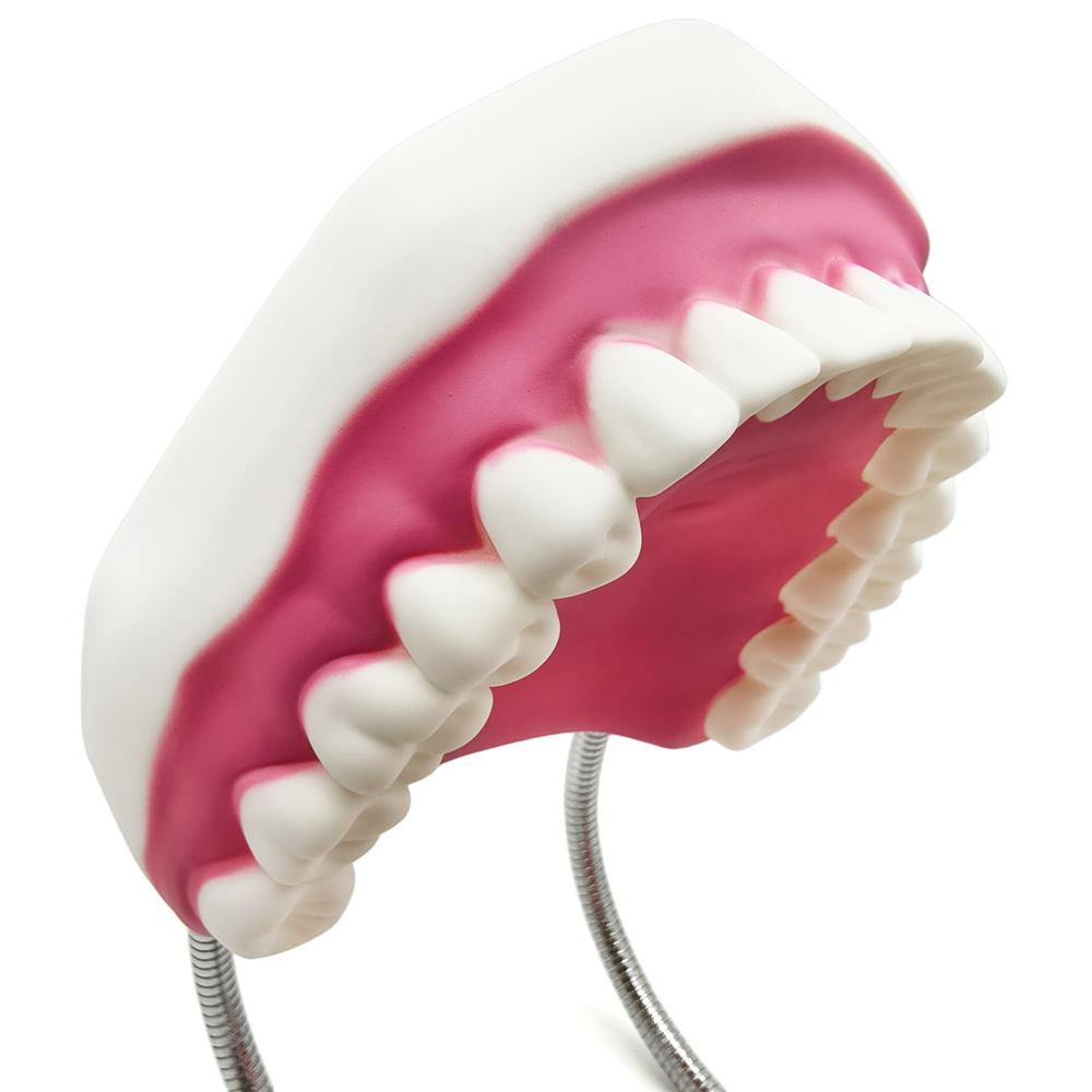 Teaching Dental Brushing Model with Big Toothbrush Standard Flossing Teeth Model Normal Dentist Practice Training Teaching Model