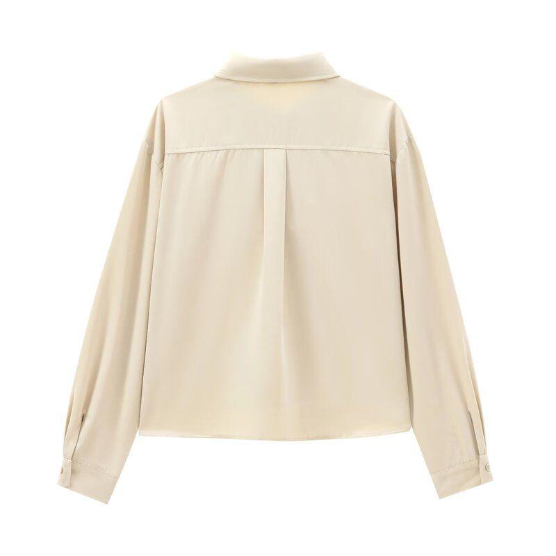 Fashion Style 2024 Autumn New Women's Silk Satin Texture Twill Basic Long Sleeves Lapel Shirt 8954316