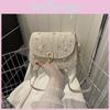 Trendy Fashionable Crossbody Bag 2024 Stylish Quilted Design Shoulder Bag For Women