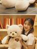 Bear Plush Toy for Girls - Perfect Birthday Gift