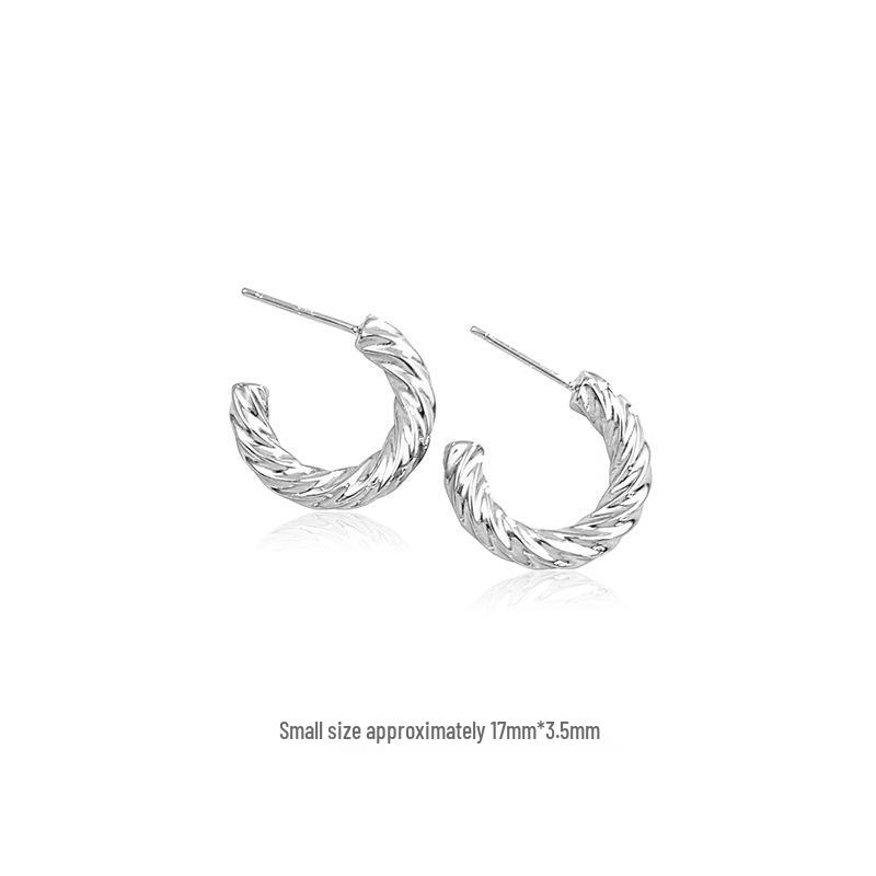 S925 Sterling Silver Twisted Hoop Earrings for Women - Fashionable Retro Design with a Niche High-End Appeal