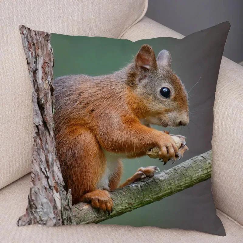 Cute Squirrel Cushion Cover Pillowcase Pillow Covers Home Decor Pet Animal Pillows Case Super Soft Polyester Pillows Covers