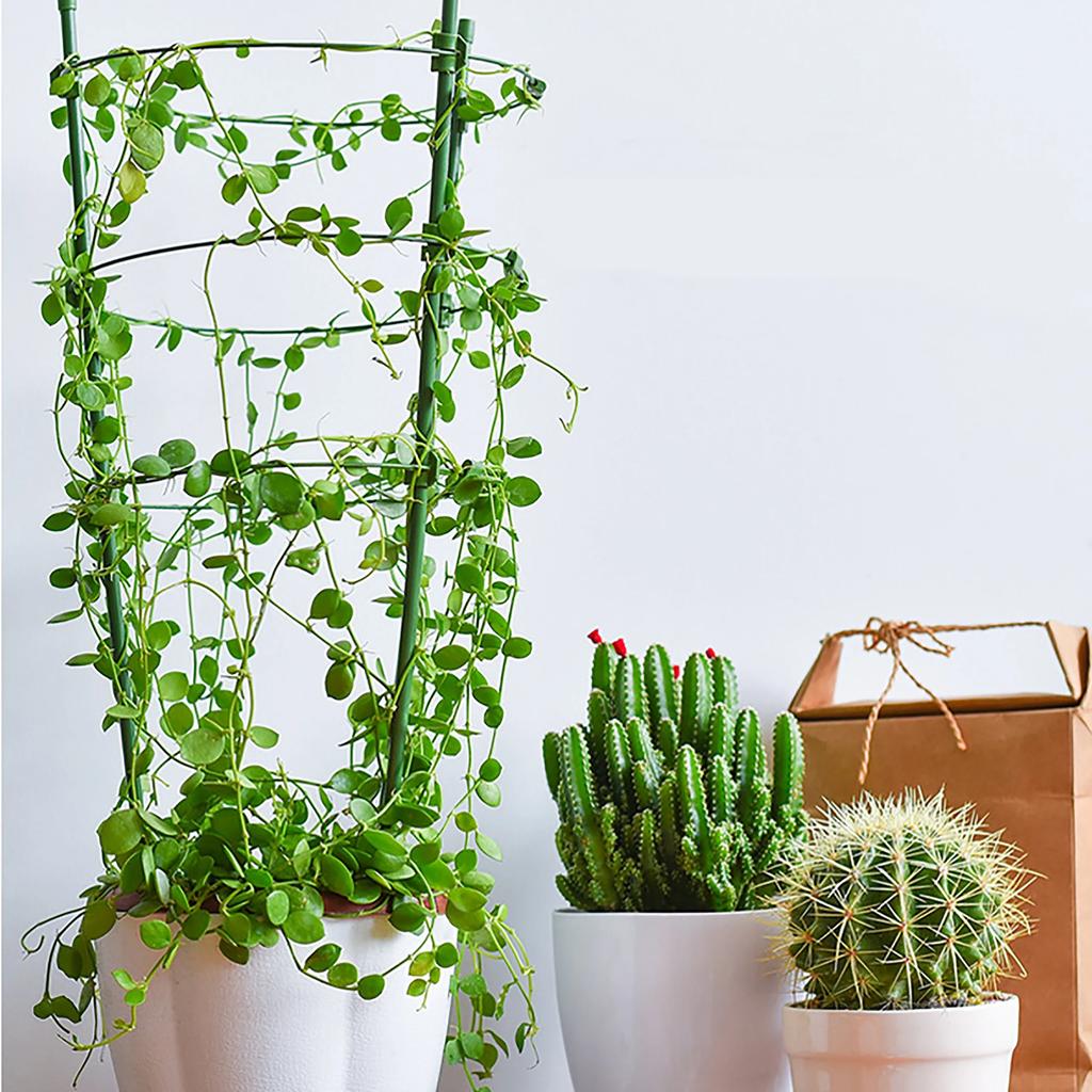 45/60cm garden plant climbing bracket anti-rust plant support cage support ring plant pile potted flower plant cage trellis pile