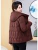 Women’s Short Hooded Windproof Thicken Warm Winter Jacket
