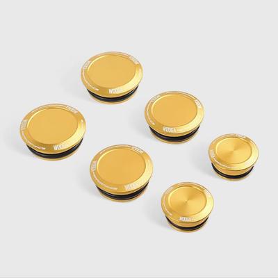 [GOLDFAUST] Z900RS/Z900RS/ Frame Cover Cap Custom Parts Parts Dress Up Accessories ZR900K/ZR900K Z900rs/z900rs (Gold)