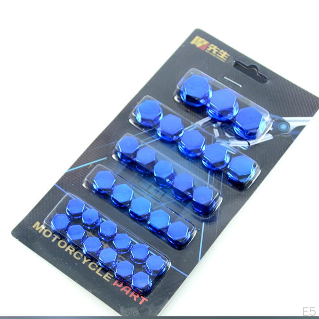 30 Piece Stainless Motorcycle Screw Kit for