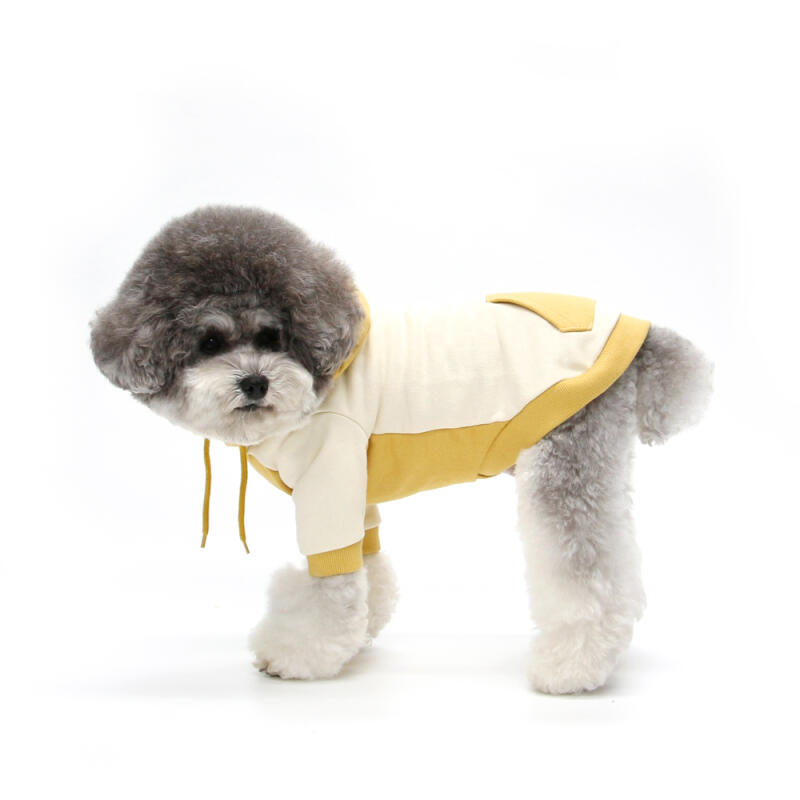 

BEAR HOODIE-YELLOW (Hood) XXL