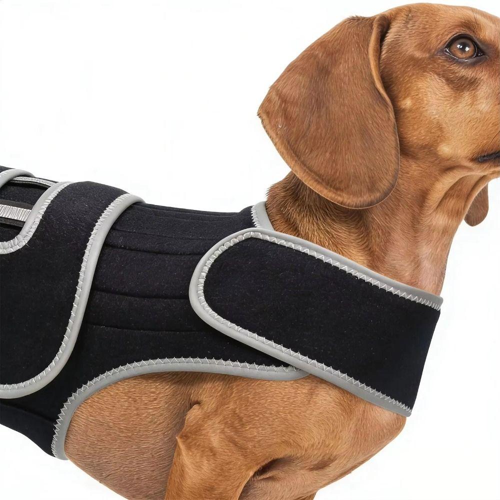 Breathable Pet Spinal Brace Vest Comfortable Dog Support Harness Dog Back Brace Home Use