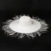 High-quality Fashionable Foreign Style Hair Bristle Edge Dome Large Eaves Woven Straw Hat Outdoor Travel Sunscreen Beach Hat
