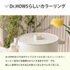 Japan Limited Stainless Steel Insulating Water Bottle Korean Stylish Tumbler 354ml Straw Usable Lid Included Dr.HOWS (Doctor House) Cold/Heat (Gray)