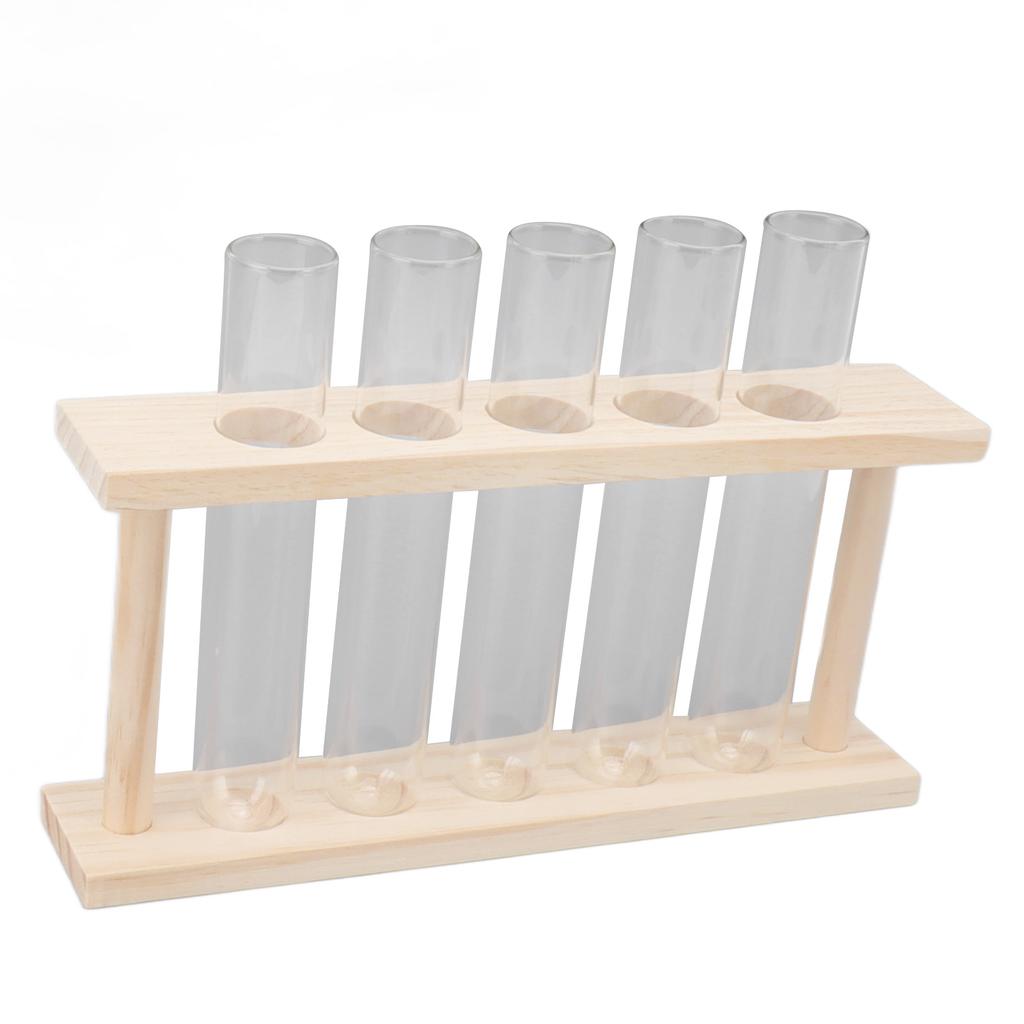 5 Test Tube Plant Terrarium Transparent Observe Growth State Plant Terrarium with Wooden Stand