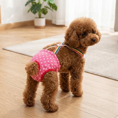 Giyim ve ayakkabı – Köpek Aksesuarları
