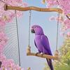 Double Layered Swing Bridge Toy Chewable Parrot Cage Swing Pet Bird Training Toy  Cage Accessories