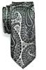 RETREEZ Paisley Art Print Microfiber Woven Necktie - Black & Silver