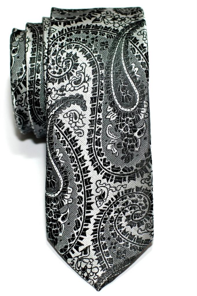 RETREEZ Paisley Art Print Microfiber Woven Necktie - Black & Silver