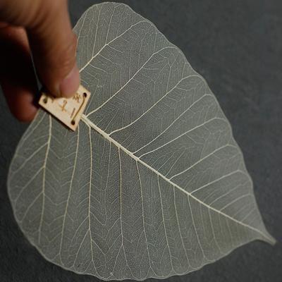Blattform Teesieb Holzblattfilter Wiederverwendbarer Tee-Infuser Separator Lesezeichen Tee für Lose