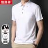 Men's Silk Blend Casual Polo Shirt