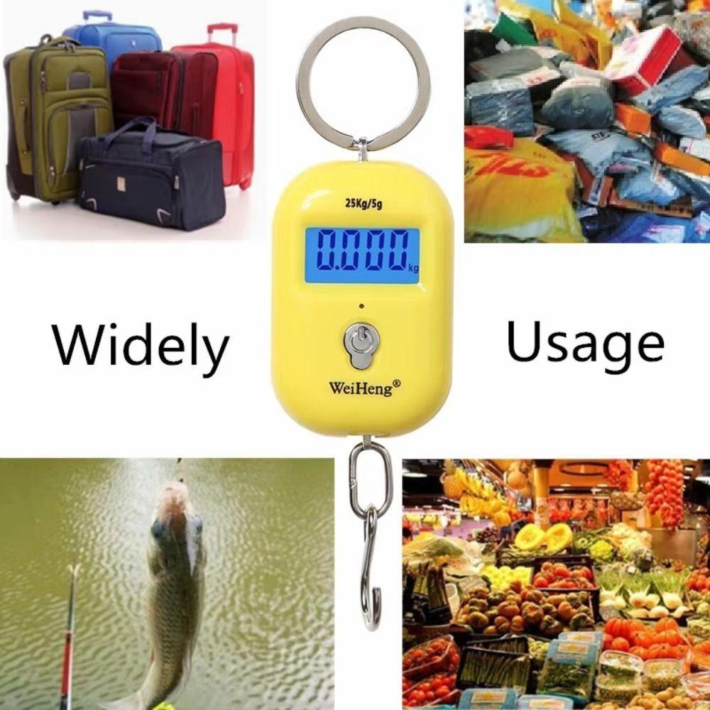 Portable Design Digital Hanging Scale 5g Precision LCD Backlight Scale  Luggage Travel