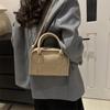2024 Early Spring Solid Color Textured Square Handbag - Women's Versatile Shoulder & Crossbody Bag