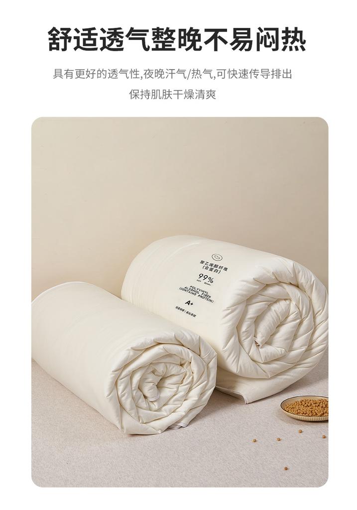 High Count Cotton 99% Soybean All Season Light Luxury 2-in-1 Household Thick Quilt