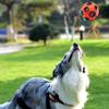 Double-layer dog toy ball, natural rubber, self-cleaning teeth, molar teeth, leaking toy ball