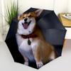 1pc Cute dog pattern Umbrella Portable Folding Umbrella Iron Frame Hole Bone Structure Outdoor Home Umbrella