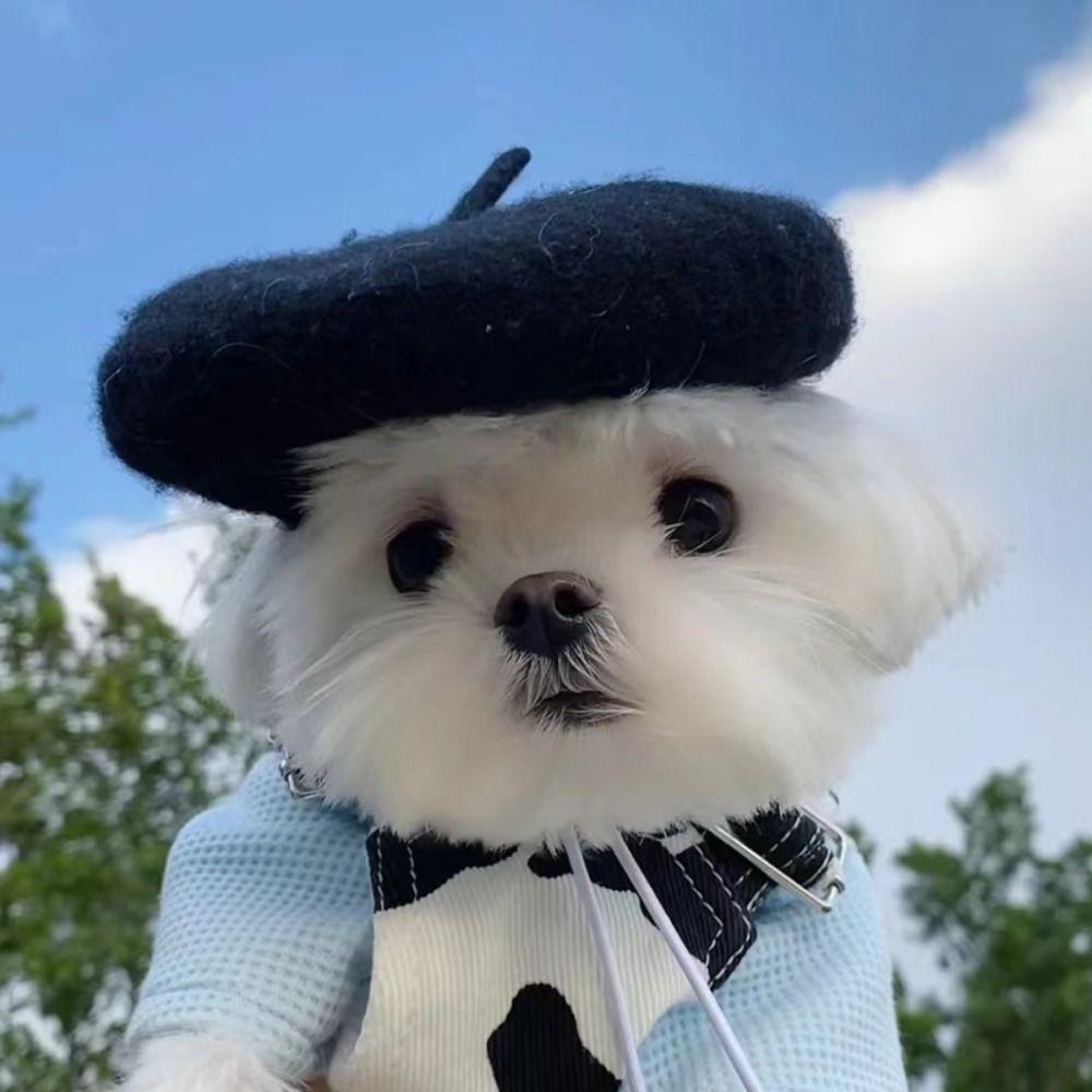 Ins Pet Decor Mini Solid Color Dog Beret Pet Headwear Pet Wool Cap Cat Hat