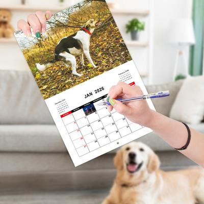Calendario da parete 2026 Cane che fa la cacca/Gatto arrabbiato Calendario Gennaio 2026 - Dicembre 2026 12 Pianificatore mensile per aula casa ufficio