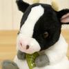 Sun Arrow Potte Plush Toy, Cow K-8705