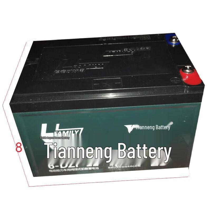 Tianneng 12V 20.2A EV Battery & Inverter