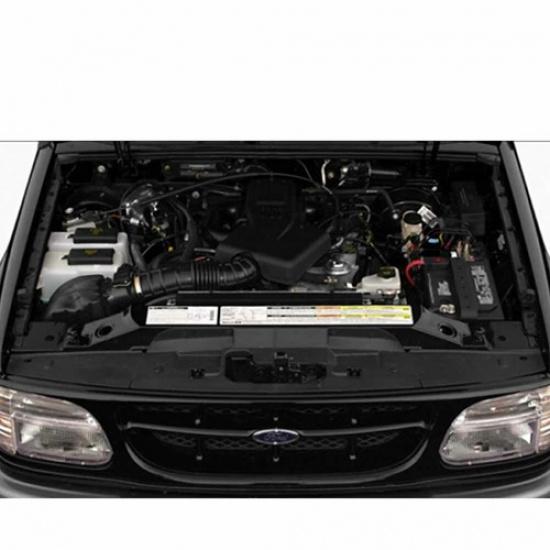 4Pcs For Ford Explorer 1995-2003 Hood+Tailgate Lift Support Gas Shock Struts