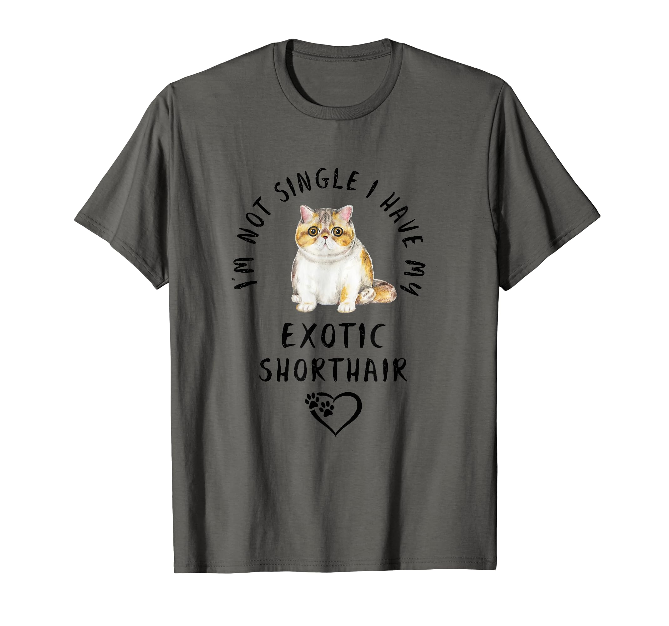 I m Not Single I Have My EXOTIC SHORTHAIR Valentine s Day Cat T-Shirt