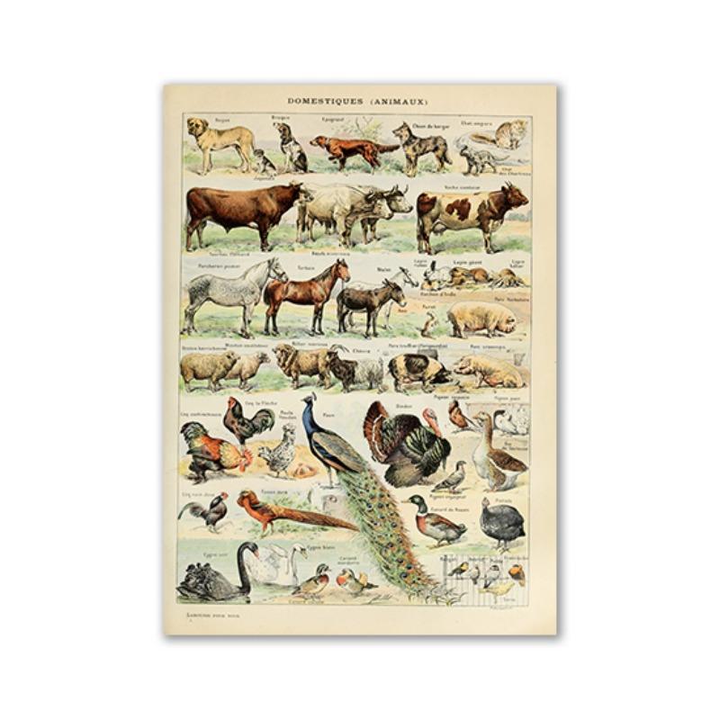 

Vintage Palaeobios Botanical Retro Poster Insect Butterfly Mushrooms Canvas Oil Painting Wall Art Prints Wall Picture Home Decor 21cm×30cm NoFrame