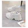 Women Thick Sole Mesh Breathable Casual Sports Dad Sneakers