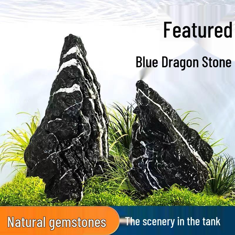 Azure Dragon Stone Aquarium and Terrarium Ornament - Micro Landscape Decoration for Fish Tanks and Bonsai.