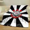 Black and white radial stripes with a detailed red and white emblem. for all seasons blanket lunch break throw gift