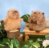 Naitou Design Continental Stroll Pochamaru Plush Toy S Suitable for Ages 6 and Up 19cm - (Marmot) - - Height Approx.