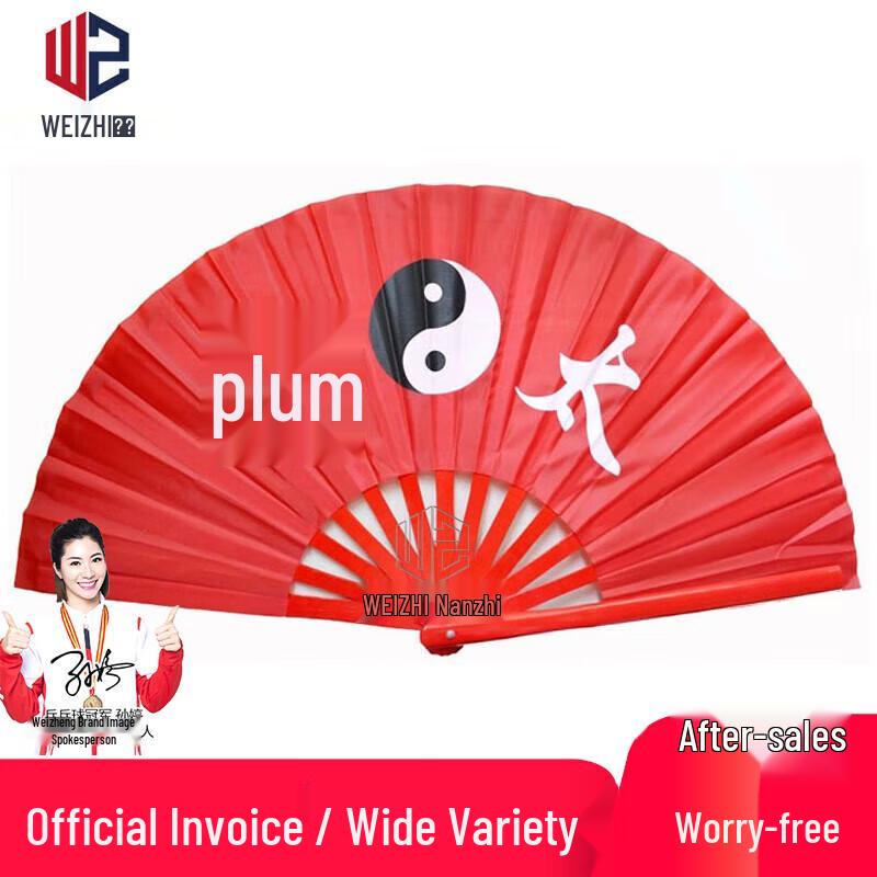 Традиционный звуковой веер Тайцзи Кунг-фу