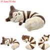 Sleeping Sprigatito Charizard Sylveon Fuecoco Plush Toys Kawaii Pamo Eevee Gengar Cubone Furret Peluche Dolls Gifts Kids