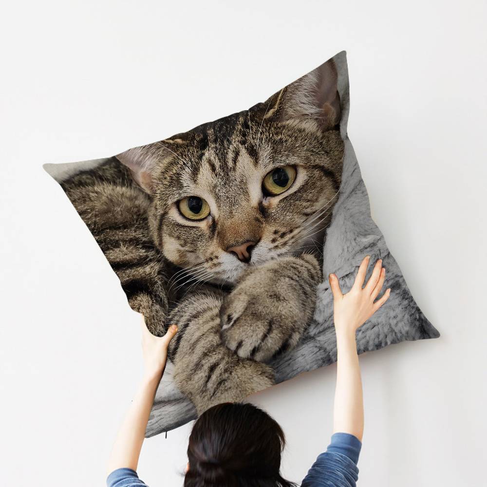 Cat Cute Kitten Stitch Lucky Dragon pillow cover sofa cushion cover home room decoration children gift
