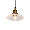 Glass LED Pendant Nordic Adjustable No Installation Retro E26 Brass Bronze Ceiling Light Transparent Ceiling Light, Style, Cord, Required, Design,
