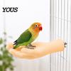 Cockatiel Resting Platform Hand-Shaped Parrot Perch, Realistic Hand Stand with Screw Fastener, Bird Training Perch for Birds Cage Budgie