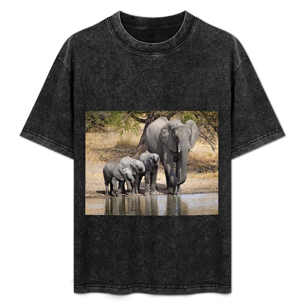 Elephant Mom And Babies Tshirt High Elasticity Sports Tshirt