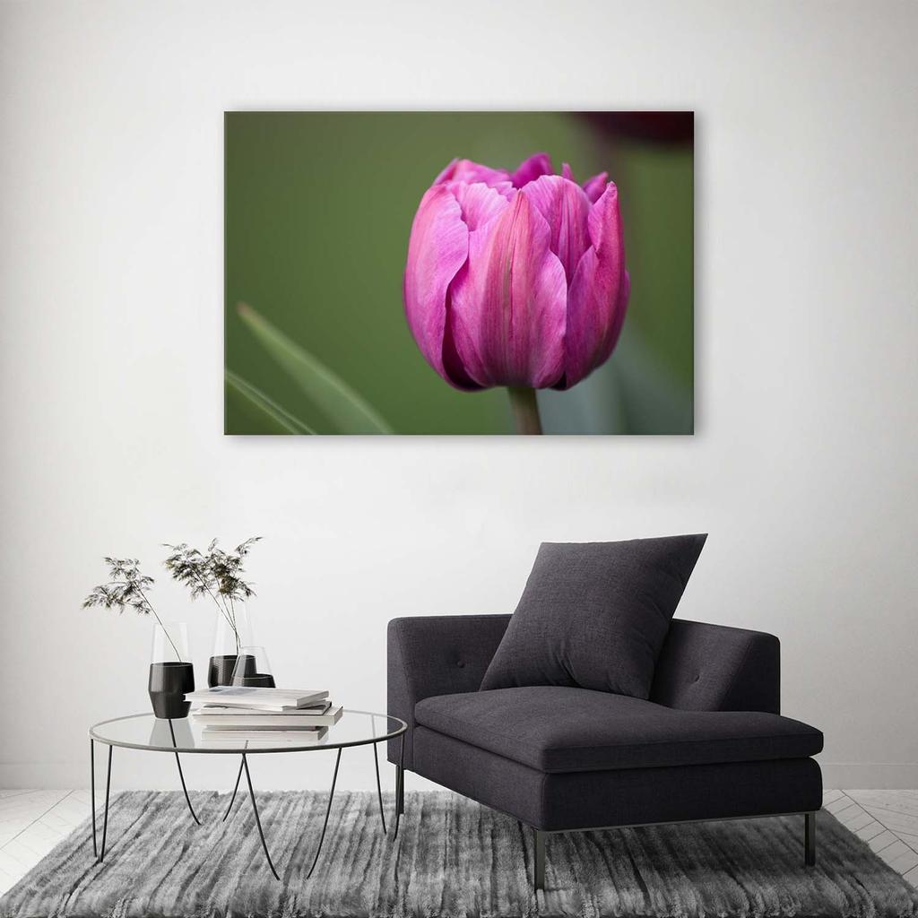 Canvas Print, Purple Tulip Flower