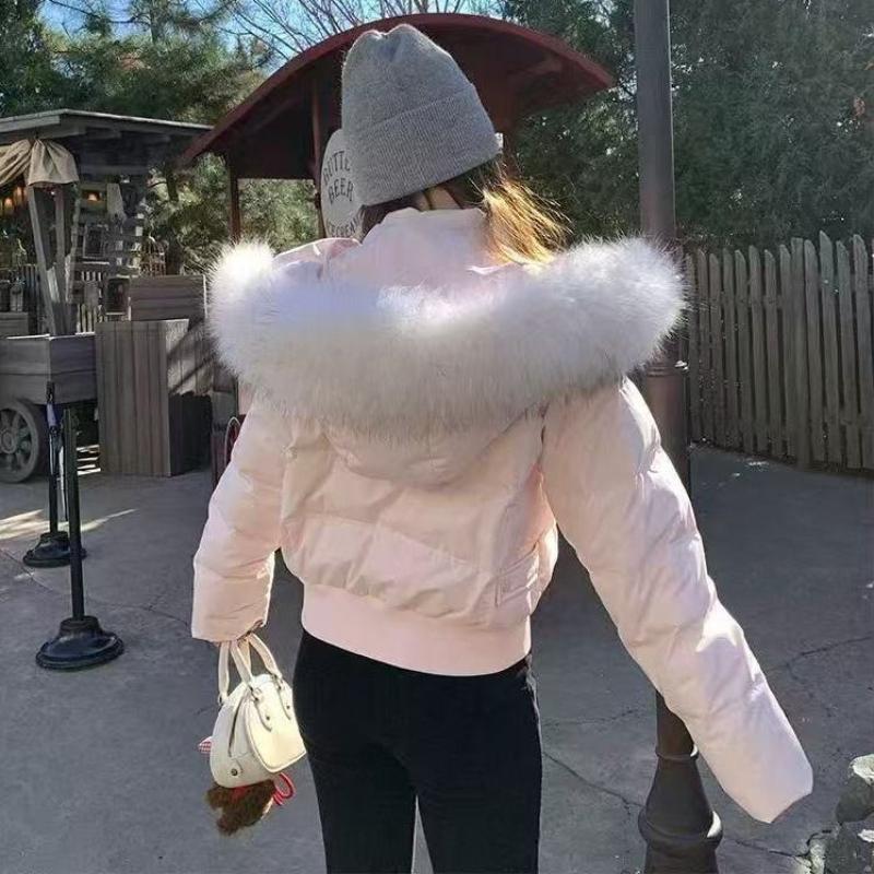 Autumn Winter Solid Leisure Women's Fur Hooded Jacket Women Outerwear Fashion Leisure Slim Short Women Outerwear