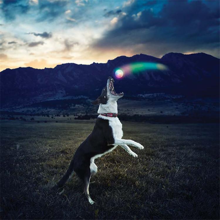 Pet Toy Ball Pet Glowing Dog Bite Ball Flashing Colorful Ball Anti-Bite and Molar Educational Safe Toy