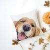 GGolden Retriever Cushion Cover Washable Linen Pillowcase Soft  for Daily Sofa Bed Home Room Decor