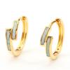 New Minimalist Style Gold Misplaced Blue and White Circle Earrings with Versatile Ear Buckles