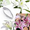Stainless Steel Lily Fondant Flower Molds, 2-Piece Baking Tool Set